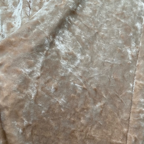 BNWT Gorgeous blush tan peach velvet pants by Kori. Size small. - Picture 3 of 9